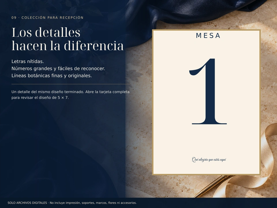 Detalle del número y las líneas doradas