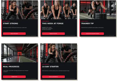 Social media starter set — Forge Fitness