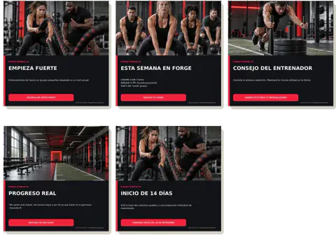 Paquete inicial para redes sociales — Forge Fitness
